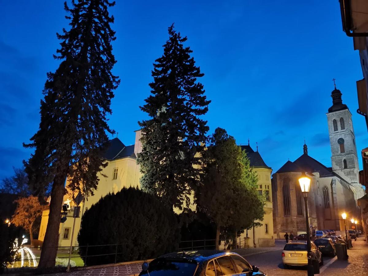 Apartmány U Koudelníka Kutná Hora Exterior foto